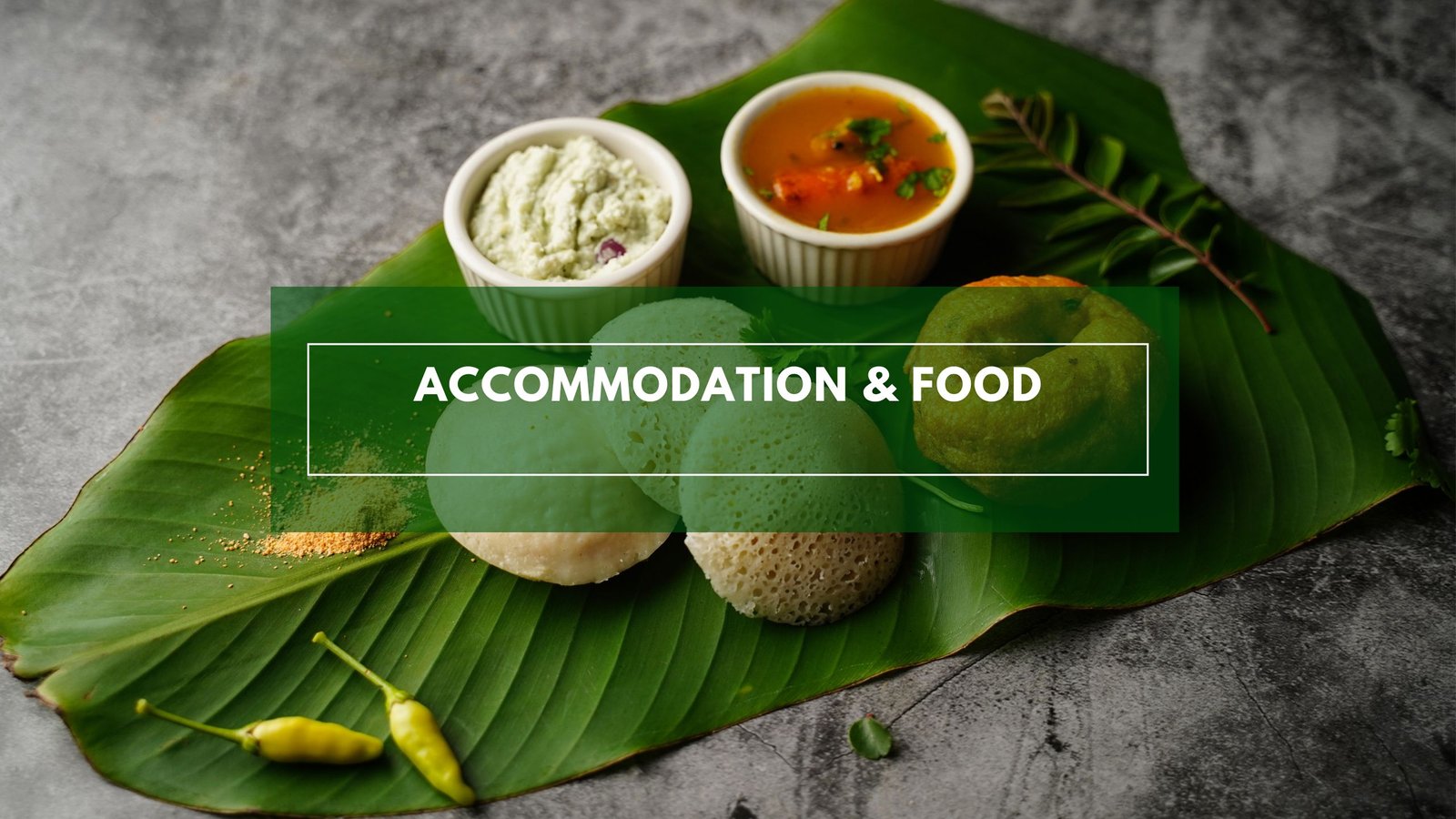 accommodation & Food